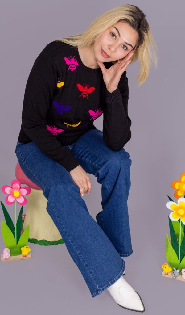 Bee in a Rainbow Black Unisex Jumper by Run and Fly