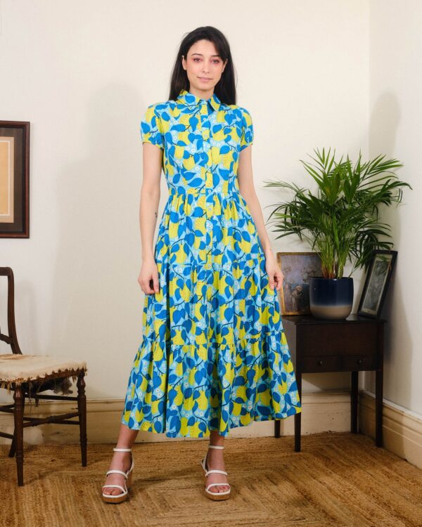Apple Blossom Molly Dress by Pretty Vacant
