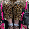 Rebel Romance Leopard Stretch Twill Dungarees - Image 8